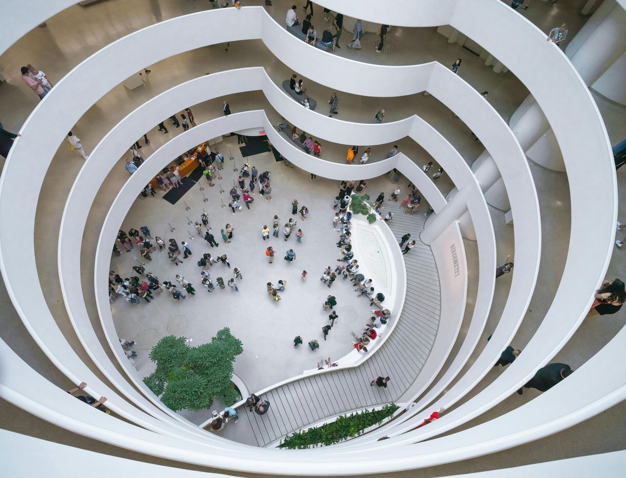Museo Guggenheim di New York: Biglietto d'ingresso