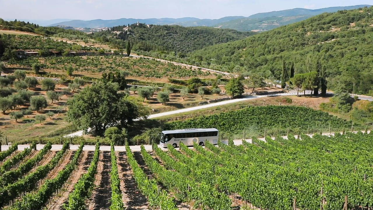 Chianti: Gita in giornata da Firenze + Tour e degustazione di vini — 5