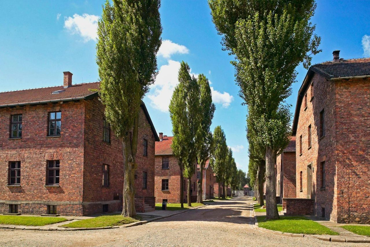 Auschwitz-Birkenau: Tour guidato + Trasporto — 4