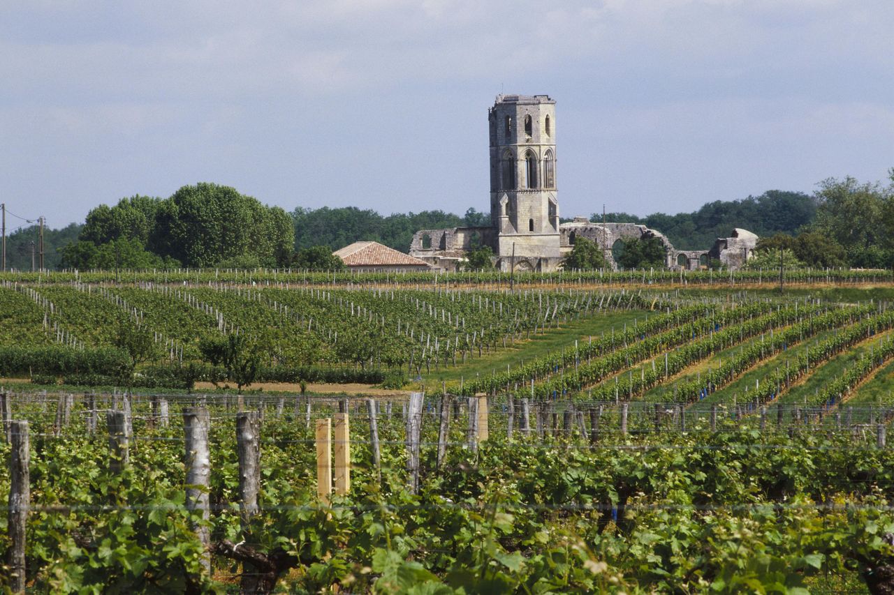 Abbazia di La Sauve-Majeure: Biglietto d'ingresso