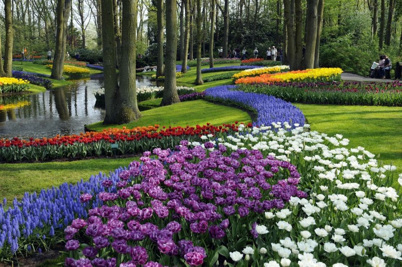 Keukenhof: Biglietto d'ingresso + Tour in barca tra i mulini a vento + Trasporto — 3