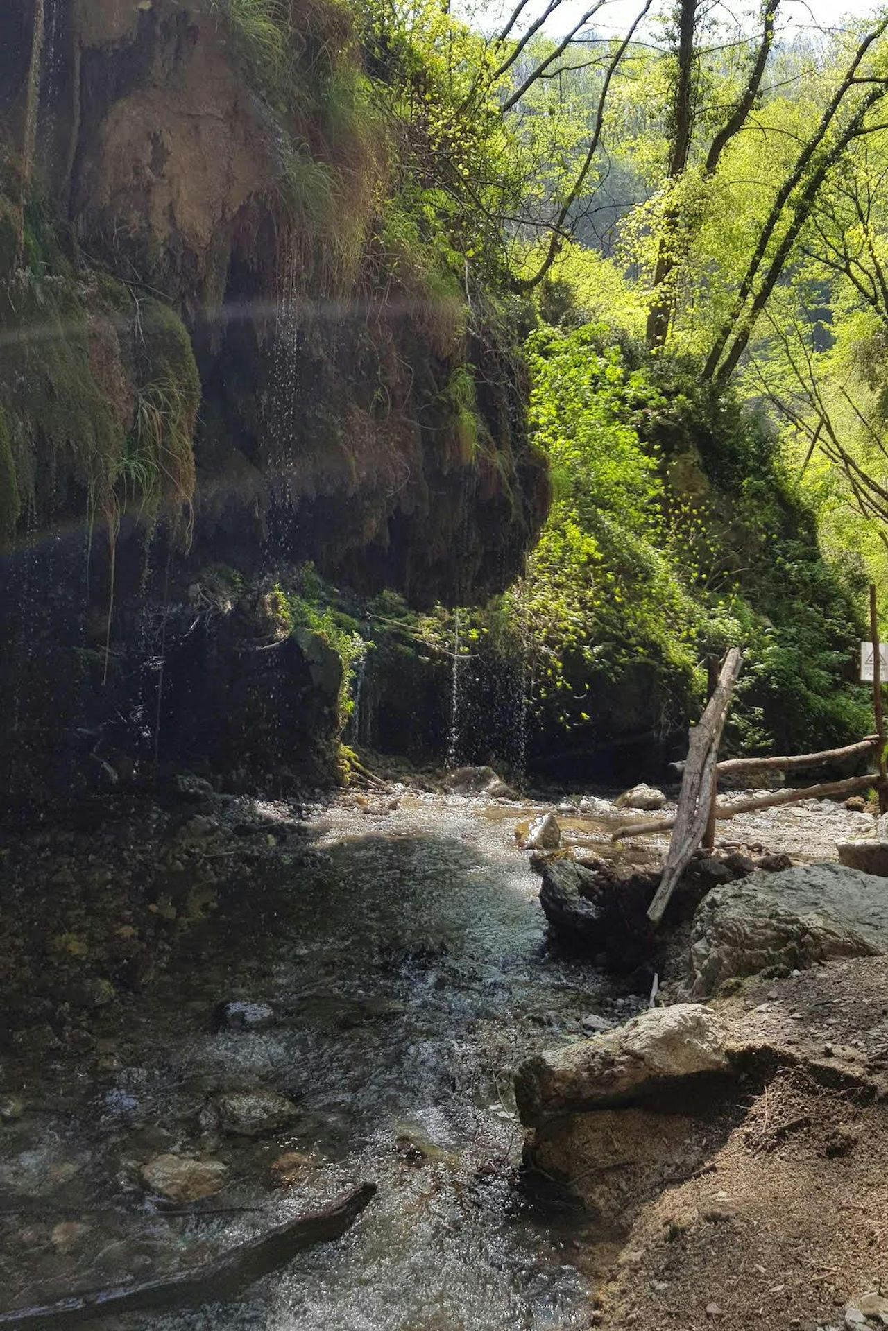 Cascate delle Ferriere: Tour Guidato da Amalfi — 3
