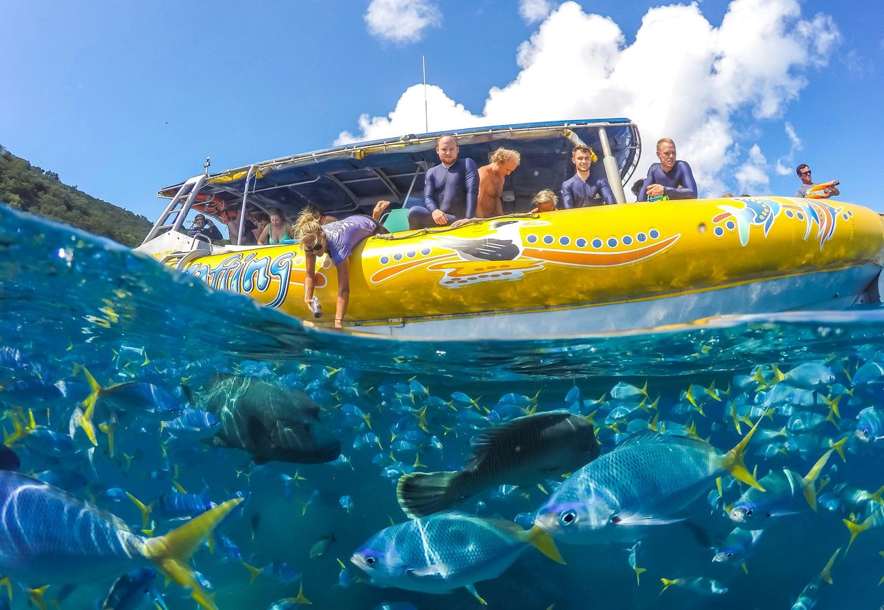 Whitsundays Ocean Rafting: Snorkel, Walk & Whitehaven Beach