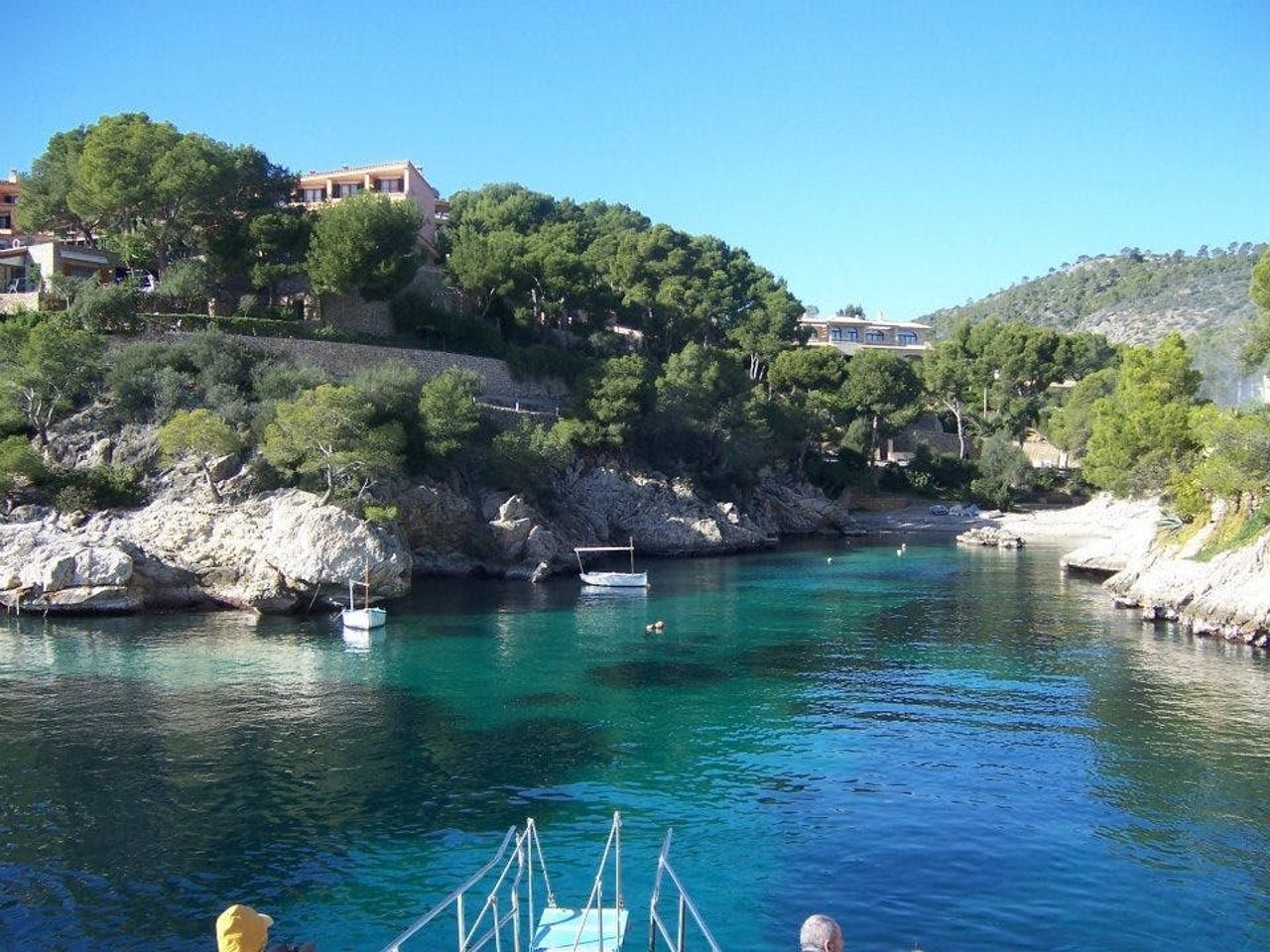 Maiorca: Tour in barca con osservazione dei delfini da Paguera — 3