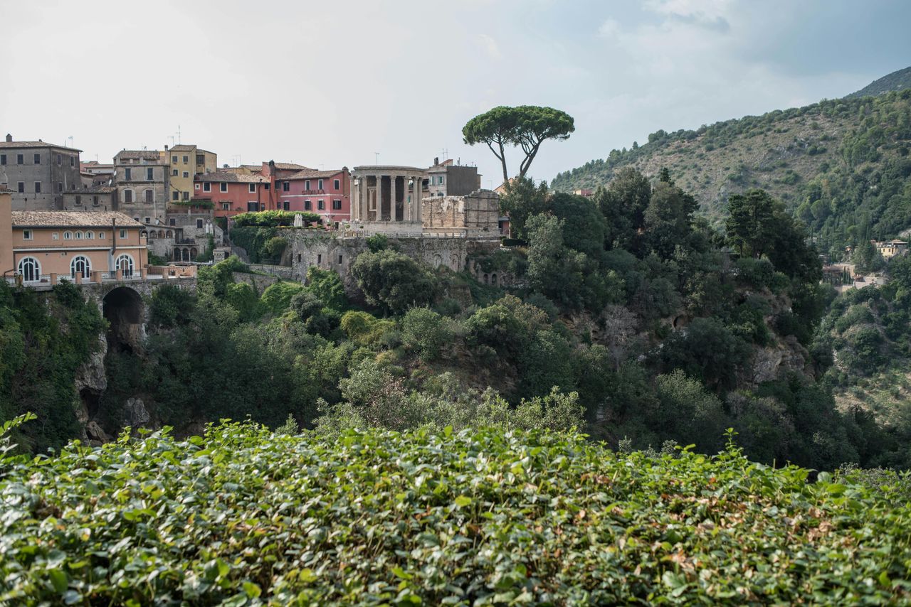Villa Gregoriana: Biglietto d'ingresso — 6