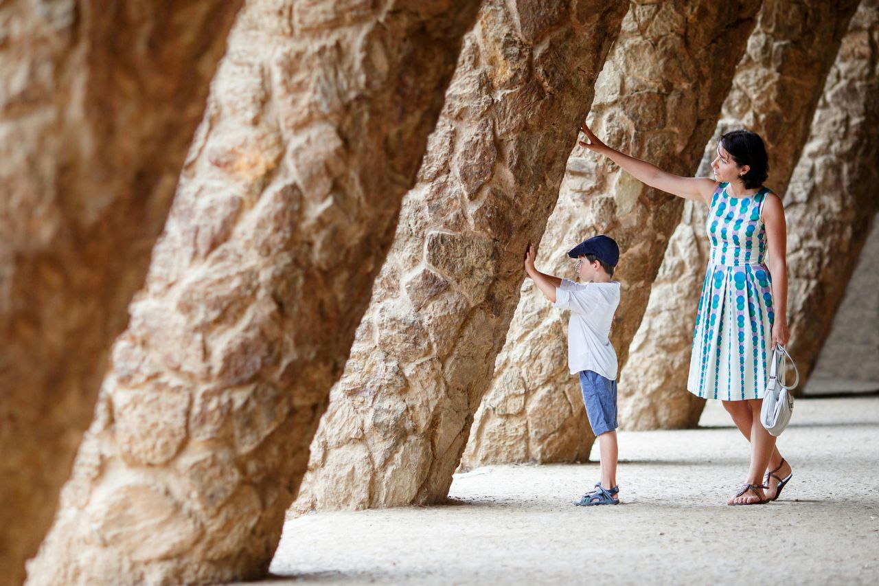Parc Güell: Biglietto salta-coda + Tour guidato — 2