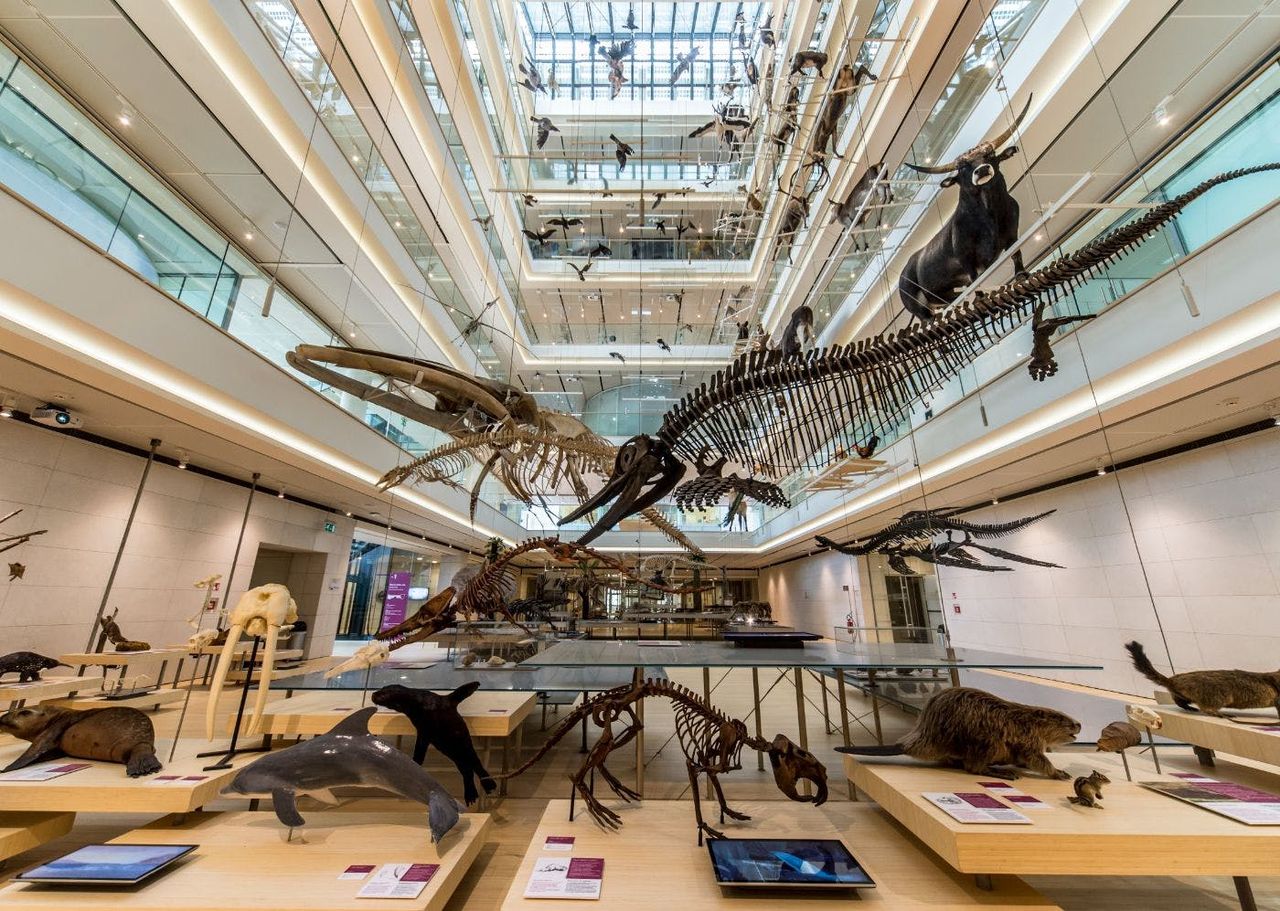 MUSE - Museo delle Scienze: Biglietto d'ingresso — 4