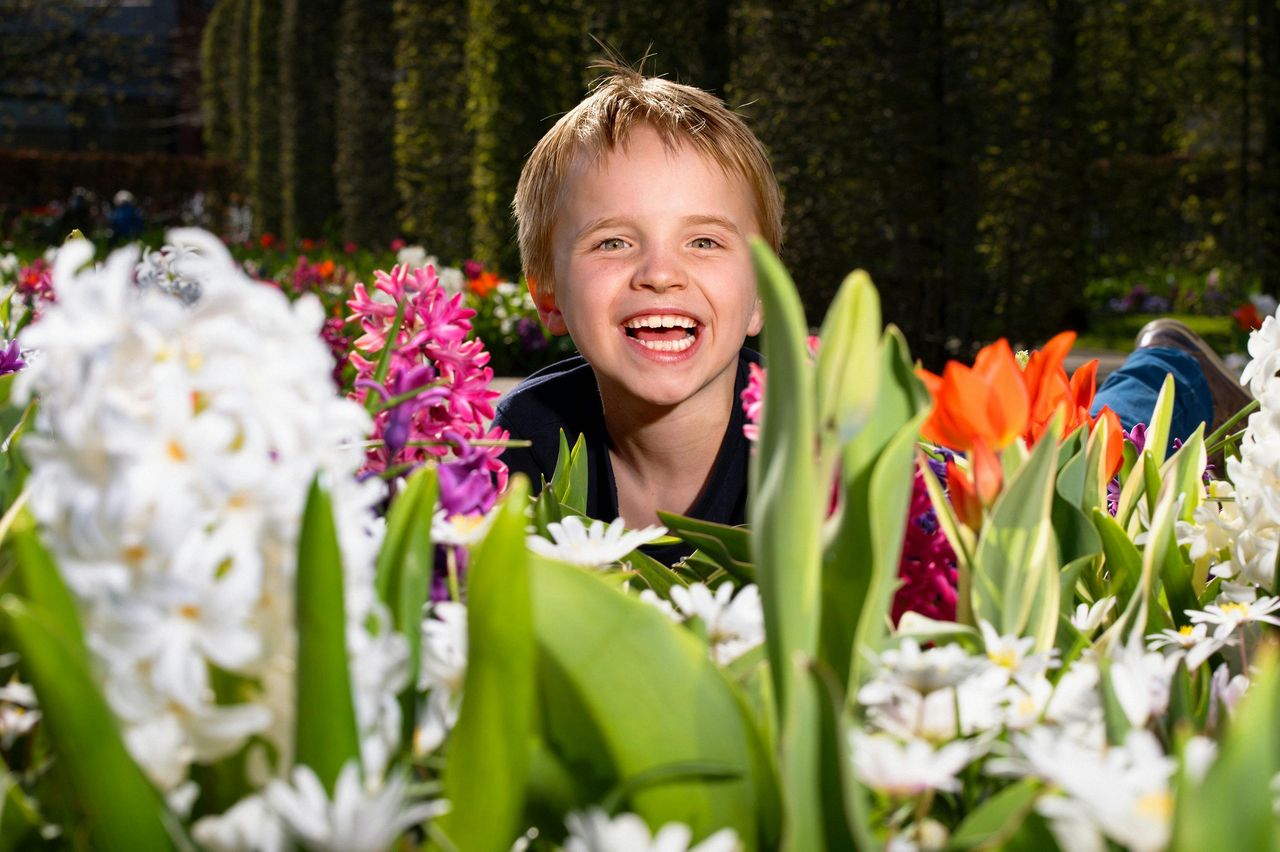 Keukenhof: Ingresso + Trasferimento in autobus di andata e ritorno dalla Torre di A'dam — 7