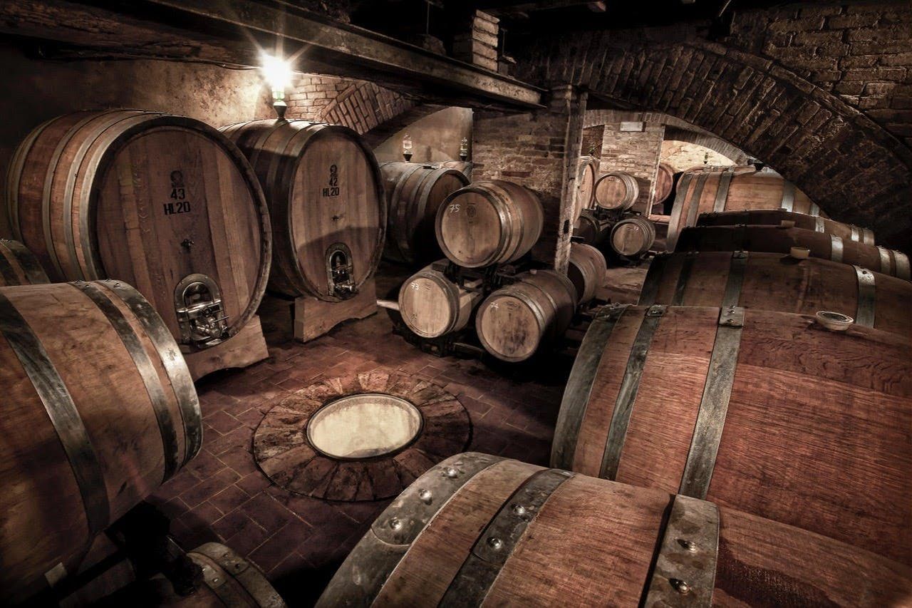 Montalcino: Tour dei vigneti e degustazione di vini — 3