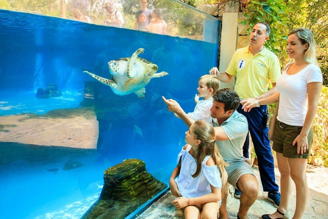 Acquario di Palma: Biglietto d'ingresso + trasferimento dalla zona di Calvià — 7