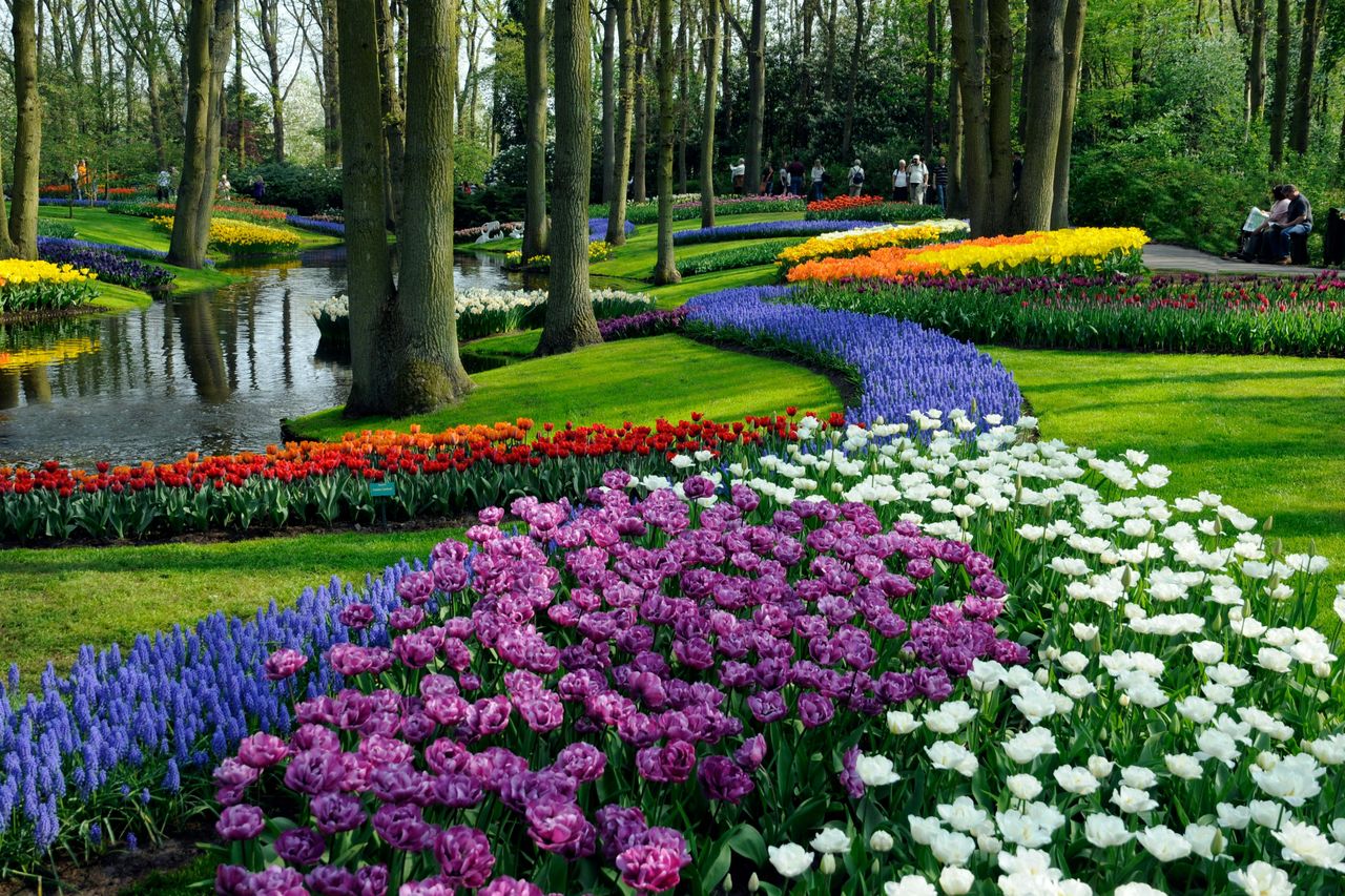 Keukenhof: Tour in autobus + crociera sul canale + audioguida — 3