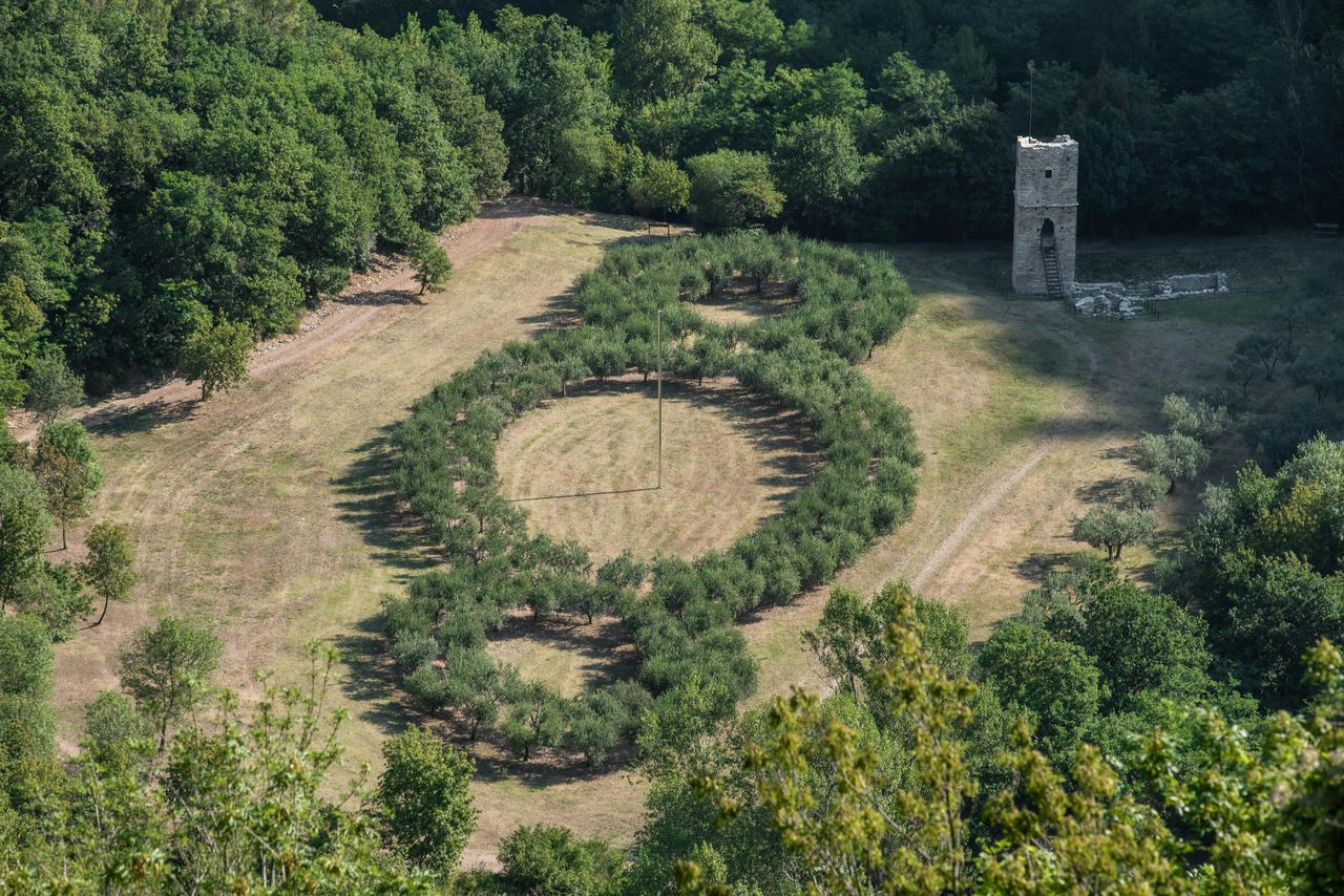 Bosco di San Francesco: Biglietto d'ingresso — 6