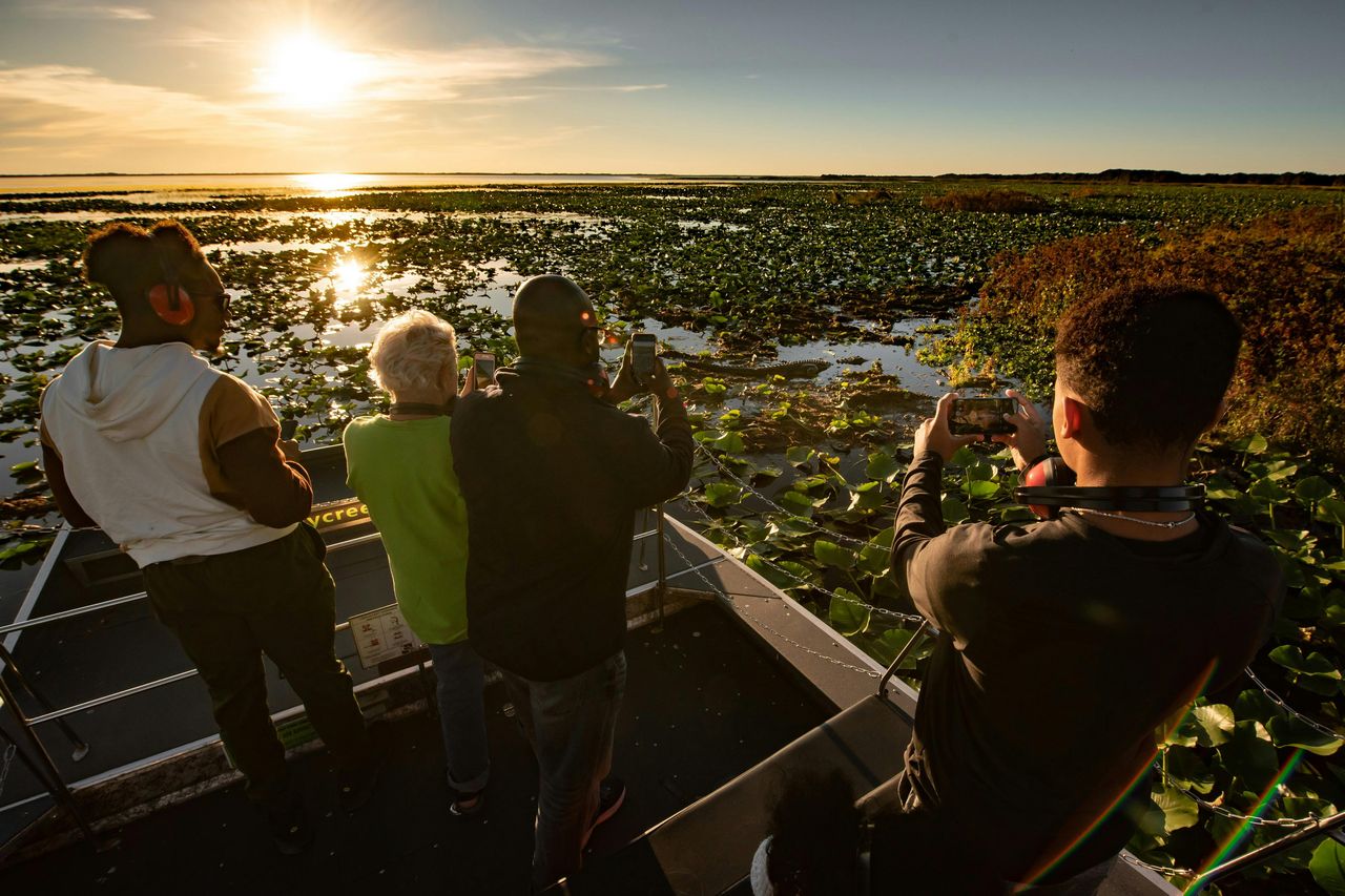 Kissimmee: tour in motoscafo delle Everglades al tramonto di Boggy Creek della durata di 1 ora — 4