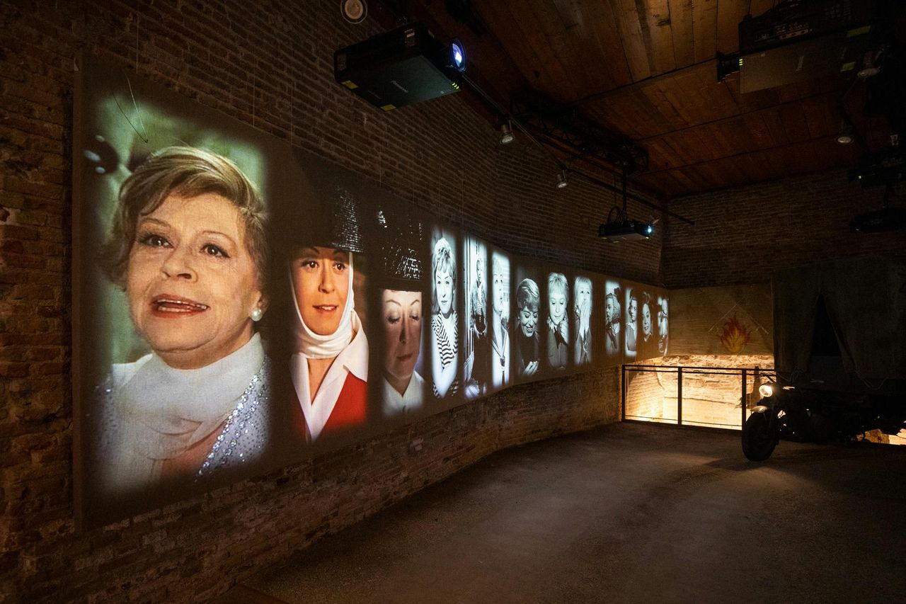 Museo Fellini: Biglietto d'ingresso — 2