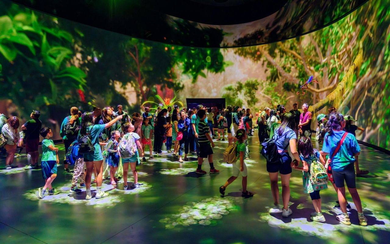 American Museum of Natural History (AMNH): Tutte le mostre con biglietto — 4