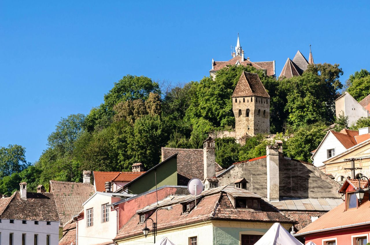 Degustazione di vino a Sighișoara