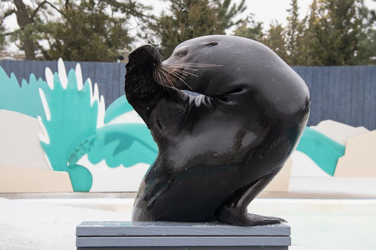 Acquario di New York: Biglietto d'ingresso — 4