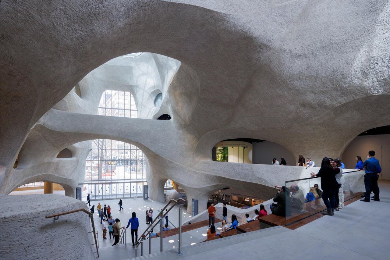 American Museum of Natural History (AMNH): Biglietto d'ingresso — 2