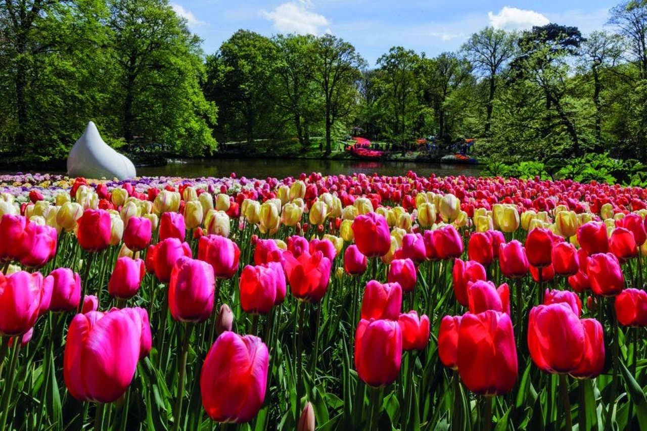 Keukenhof: Biglietto d'ingresso + Tour in barca tra i mulini a vento + Trasporto