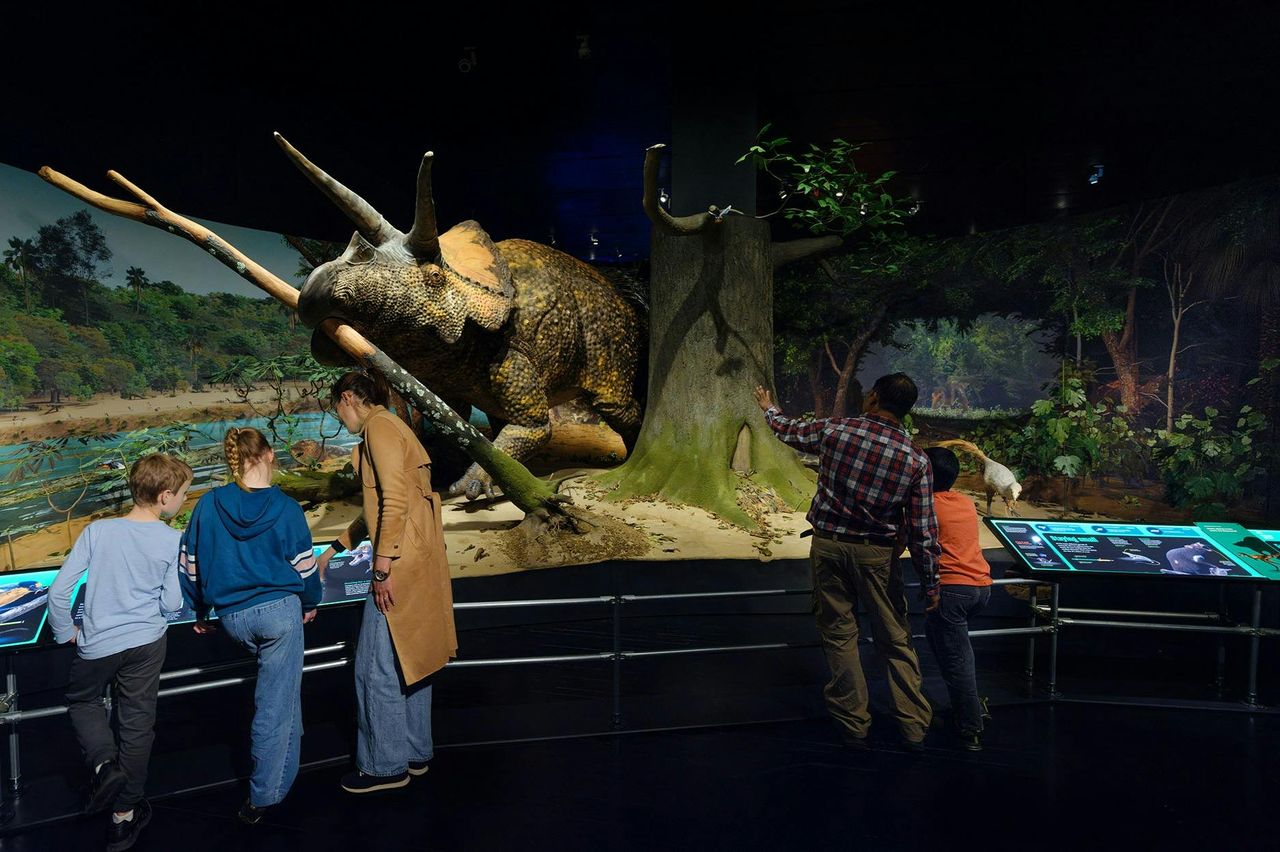 American Museum of Natural History (AMNH): Tutte le mostre con biglietto — 2
