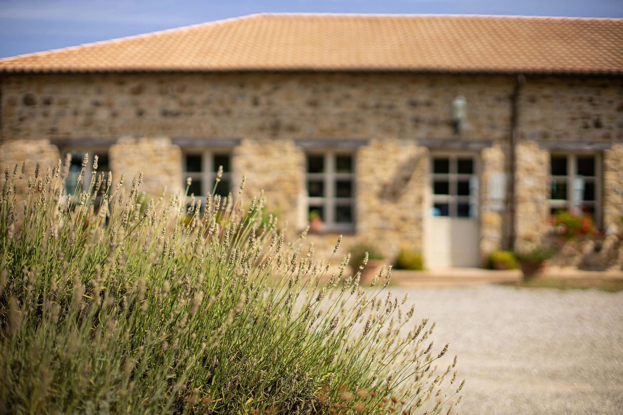 Azienda vinicola Corte Pavone: Degustazione di vini di Montalcino — 3