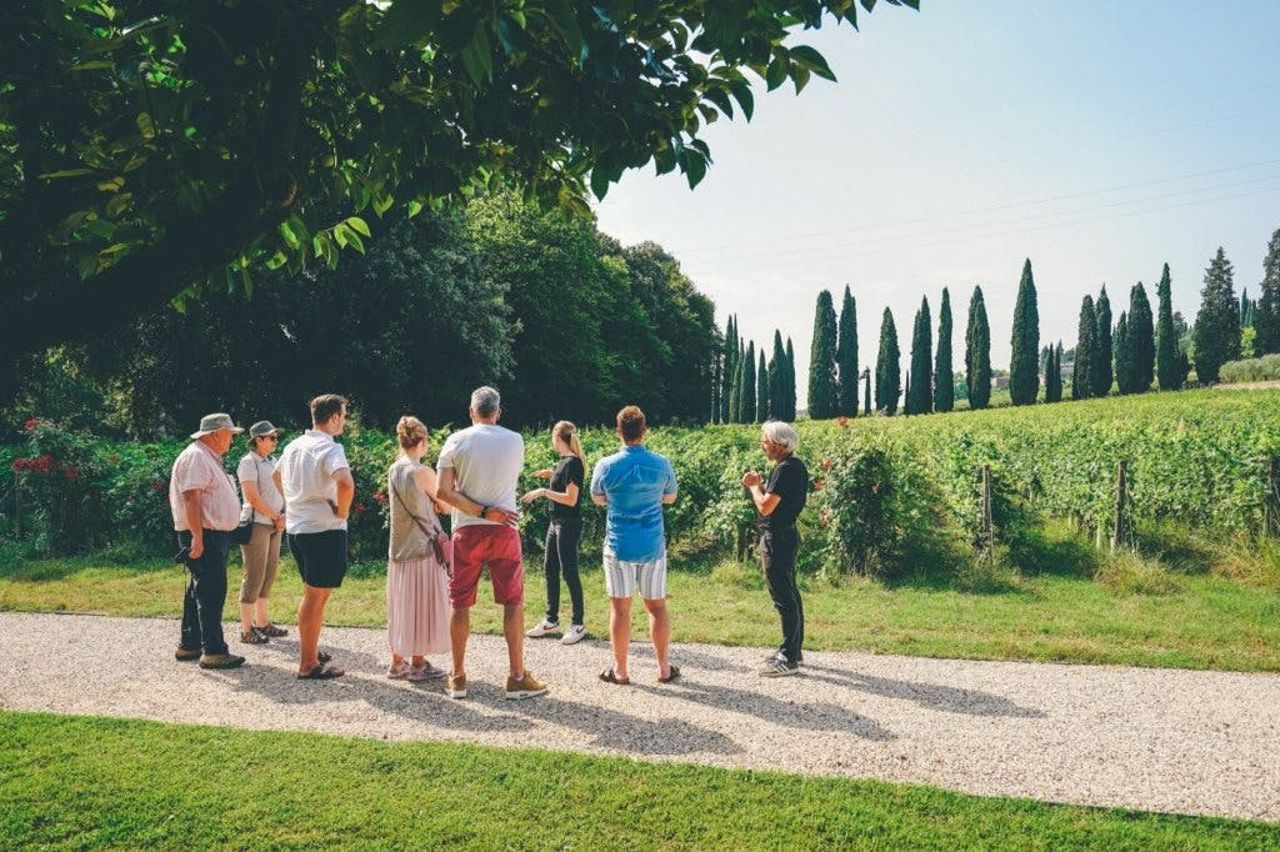 Tour di degustazione dell'Amarone da Verona — 6