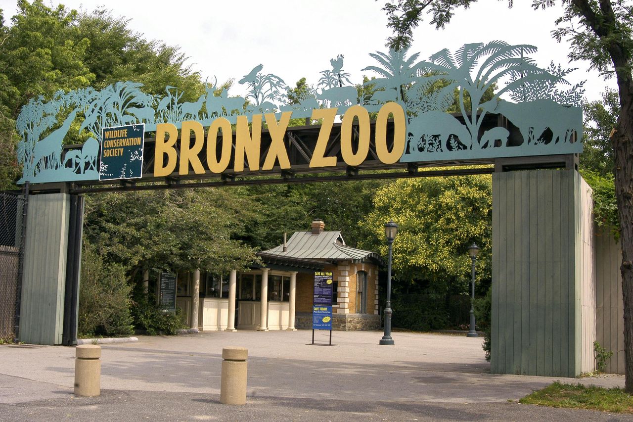 Zoo del Bronx: Biglietto d'ingresso
