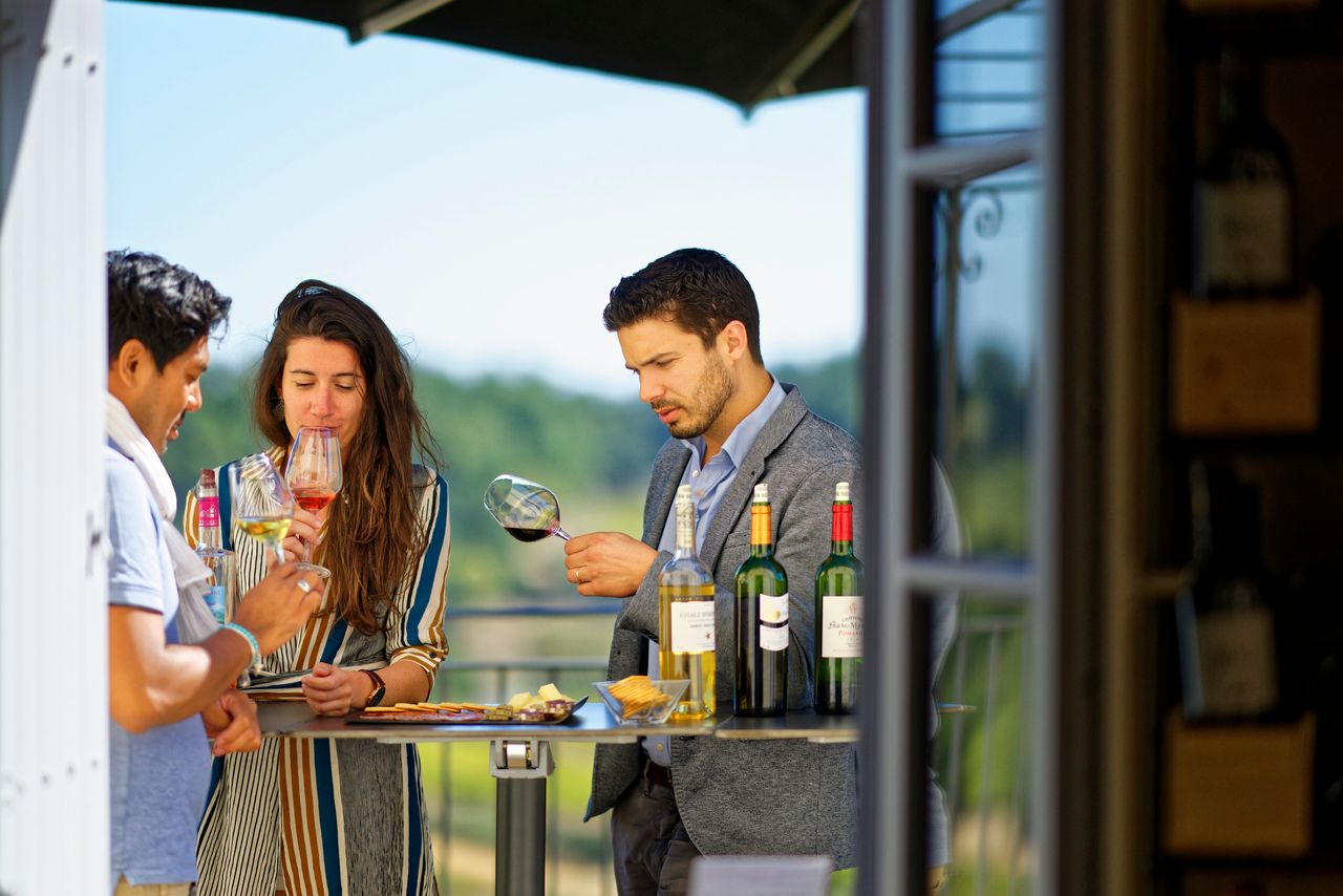 Château La Croizille: Tour Guidato + Degustazione di Vini