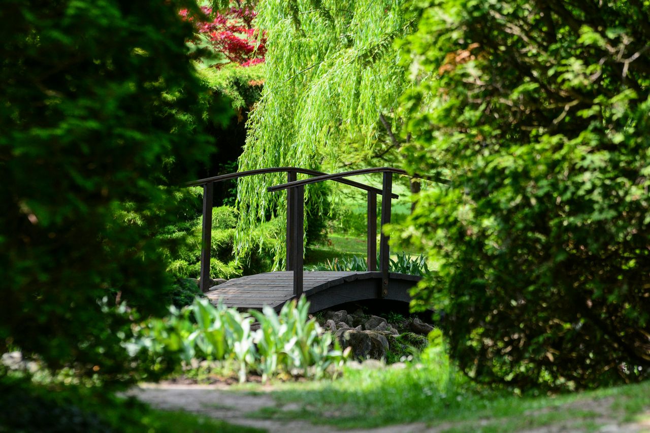 Parco Giardino Sigurtà: Biglietto a data aperta — 6