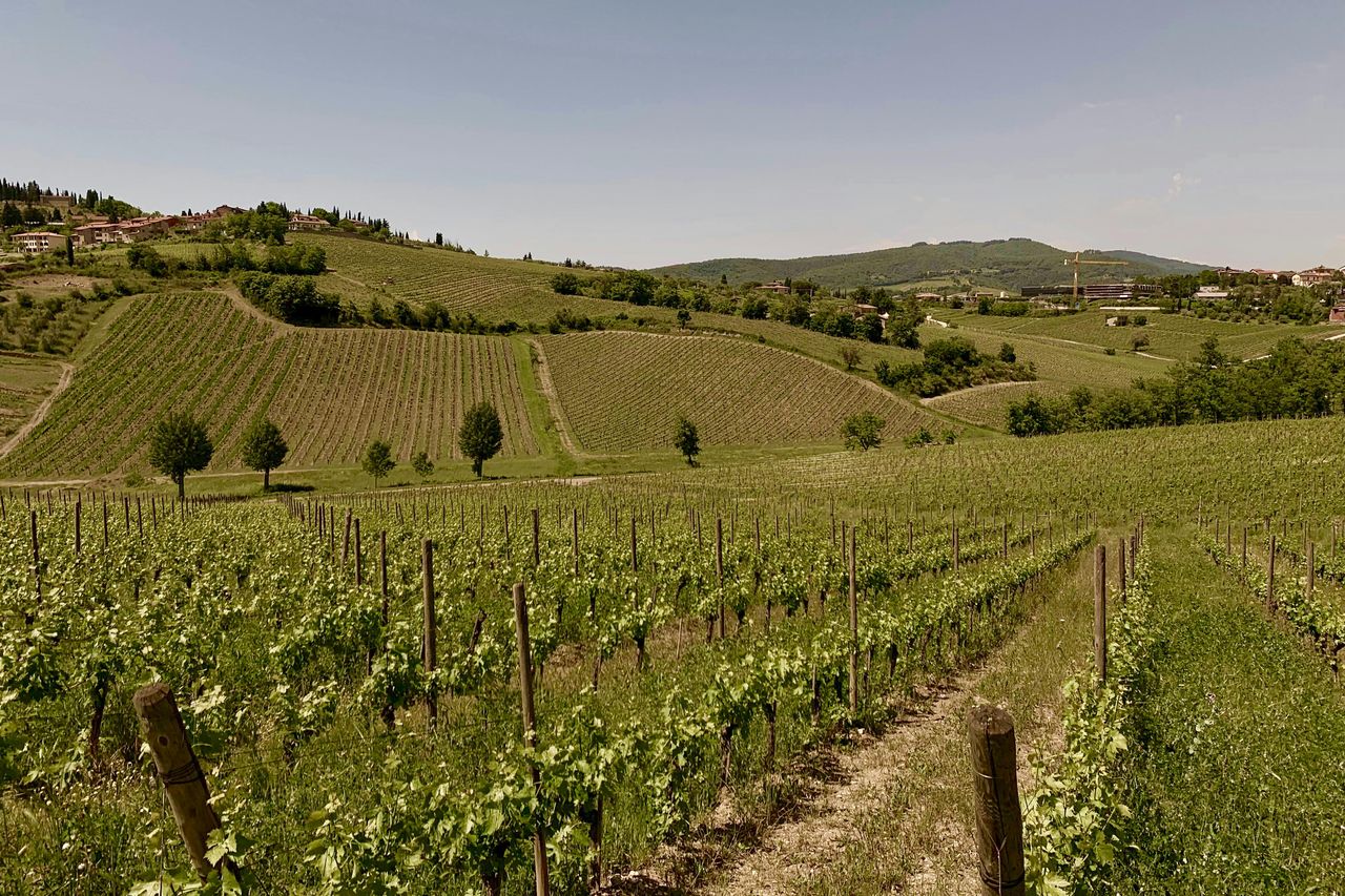Chianti: tour guidato dei vini da Firenze + degustazione — 9