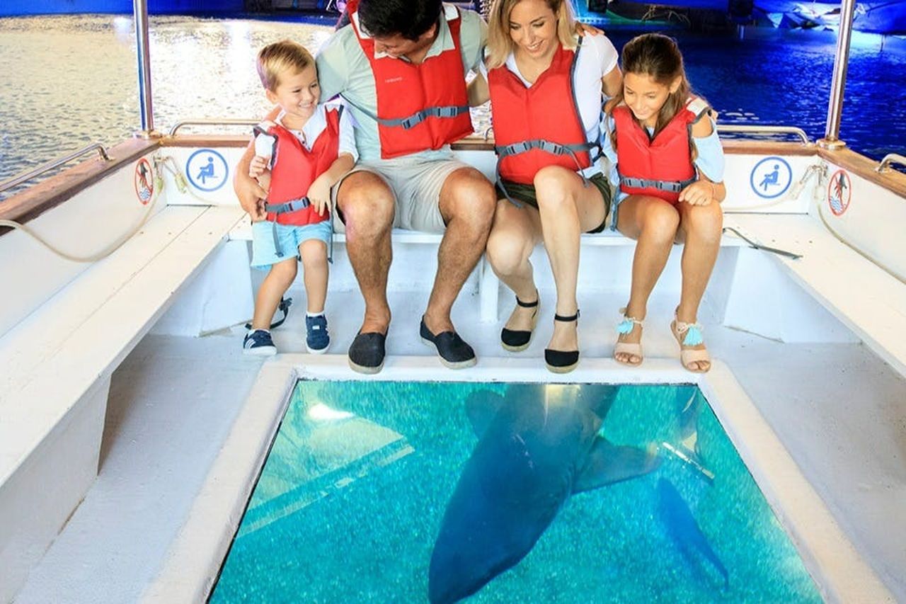 Acquario di Palma: Biglietto d'ingresso + trasferimento dalla zona di Calvià — 5