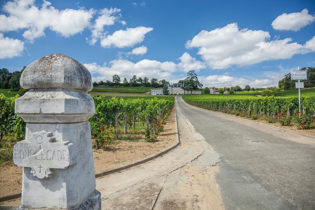Villaggio di Saint-Émilion: Tour del Vino di Mezza Giornata da Bordeaux — 3