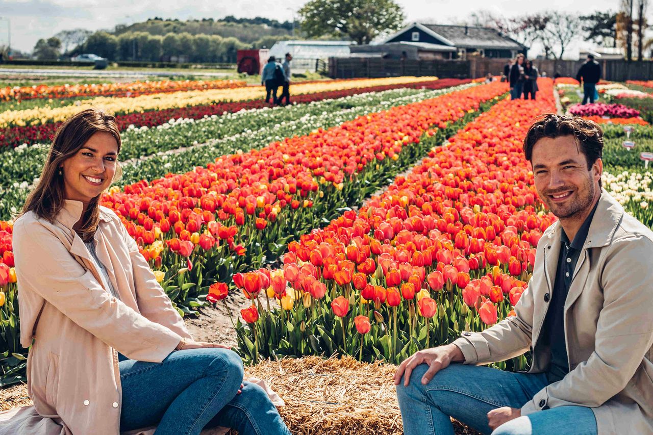 Esperienza Keukenhof & Tulipani: Biglietto d'ingresso + trasferimento + caffè o tè — 4