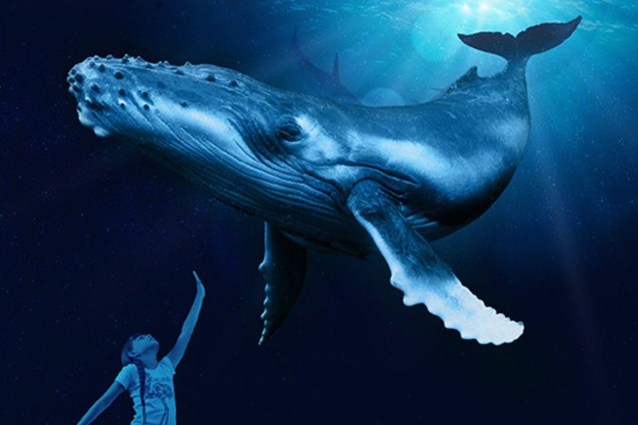 Palma Aquarium: Biglietto salta-coda + Cinema Aquadome 3D opzionale — 3