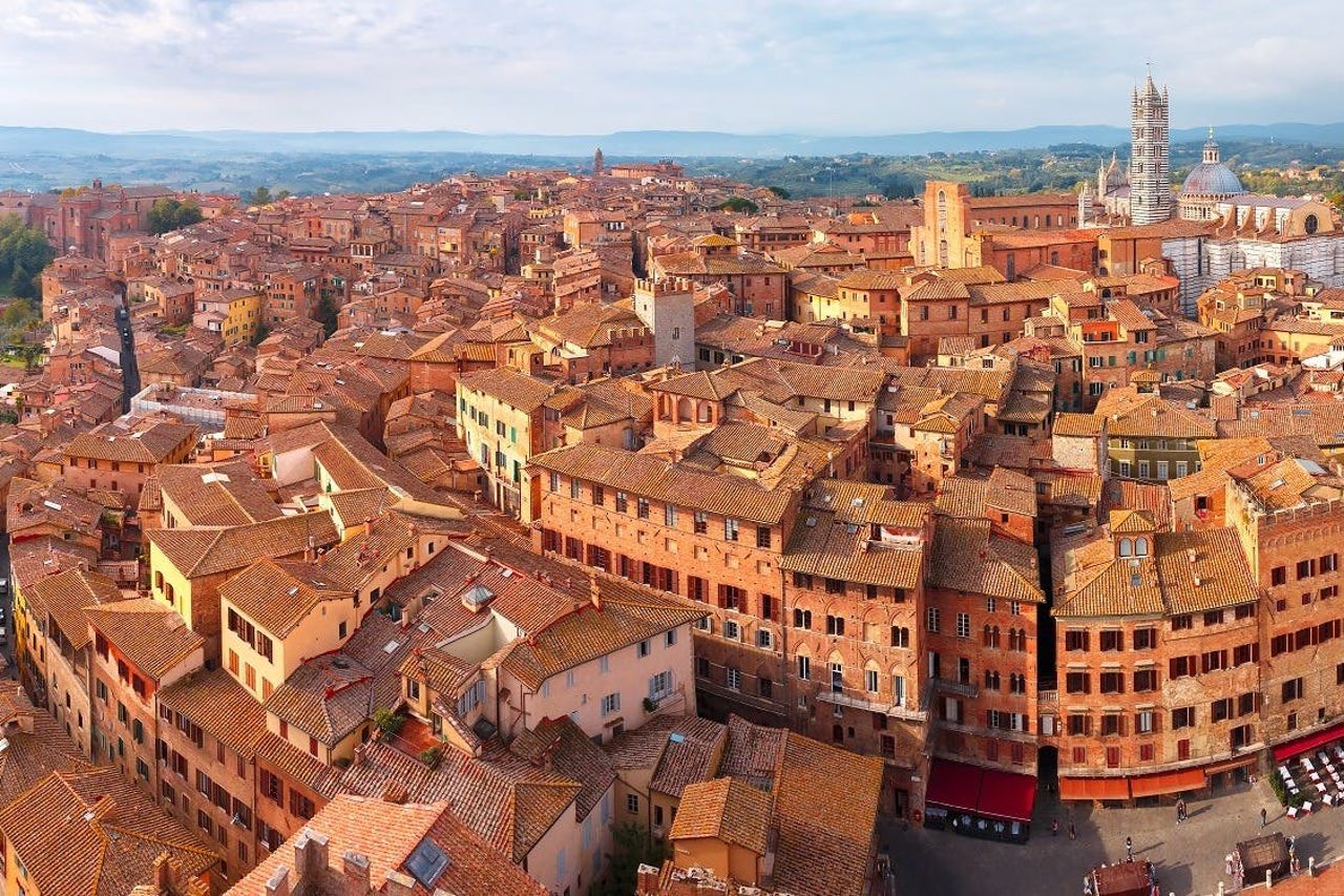 Pisa, Siena e San Gimigniano: Gita in giornata da Firenze + Degustazione vini — 6