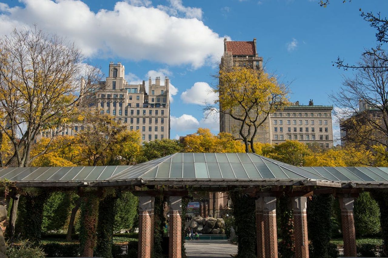 Zoo di Central Park: Biglietto d'ingresso — 6