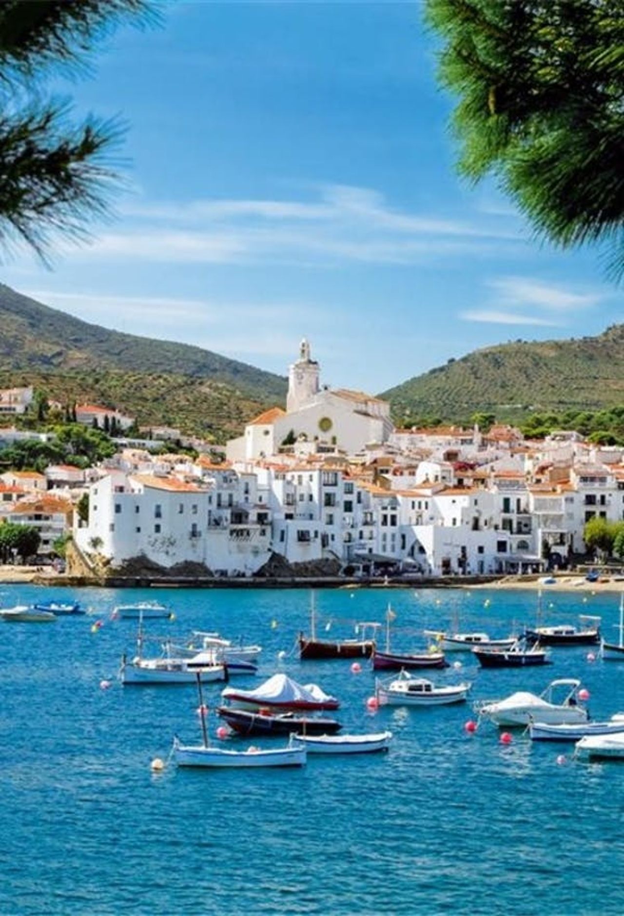 Costa Brava: Tour in catamarano a Cadaqués da Roses o Santa Margarita
