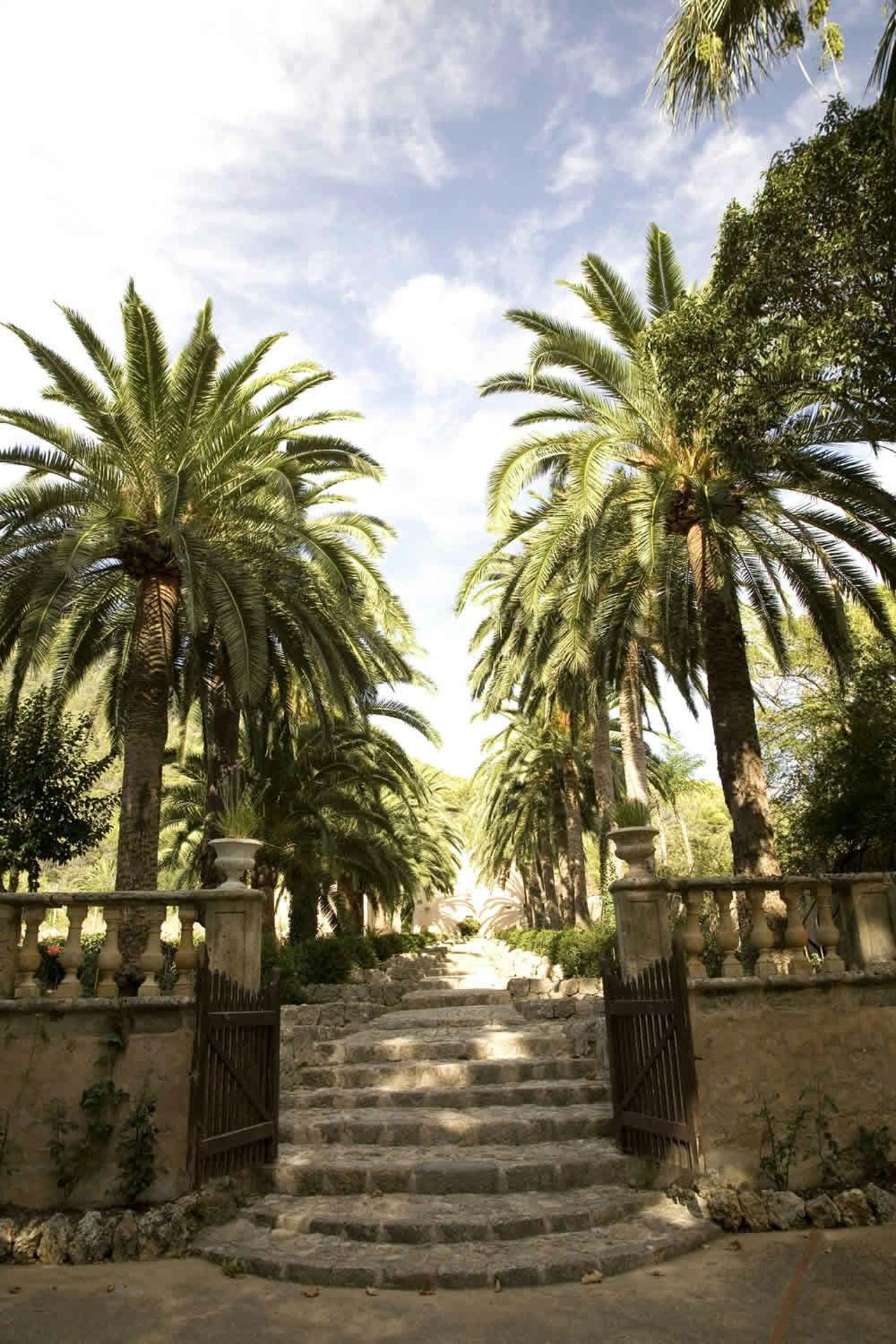 Giardini di Alfabia: Biglietto salta-coda — 4