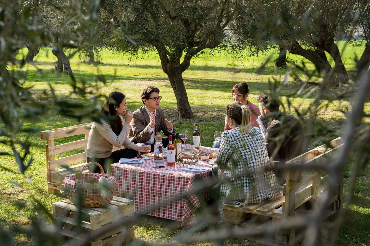 Cantina Mazzarosa: Picnic di campagna nell'uliveto