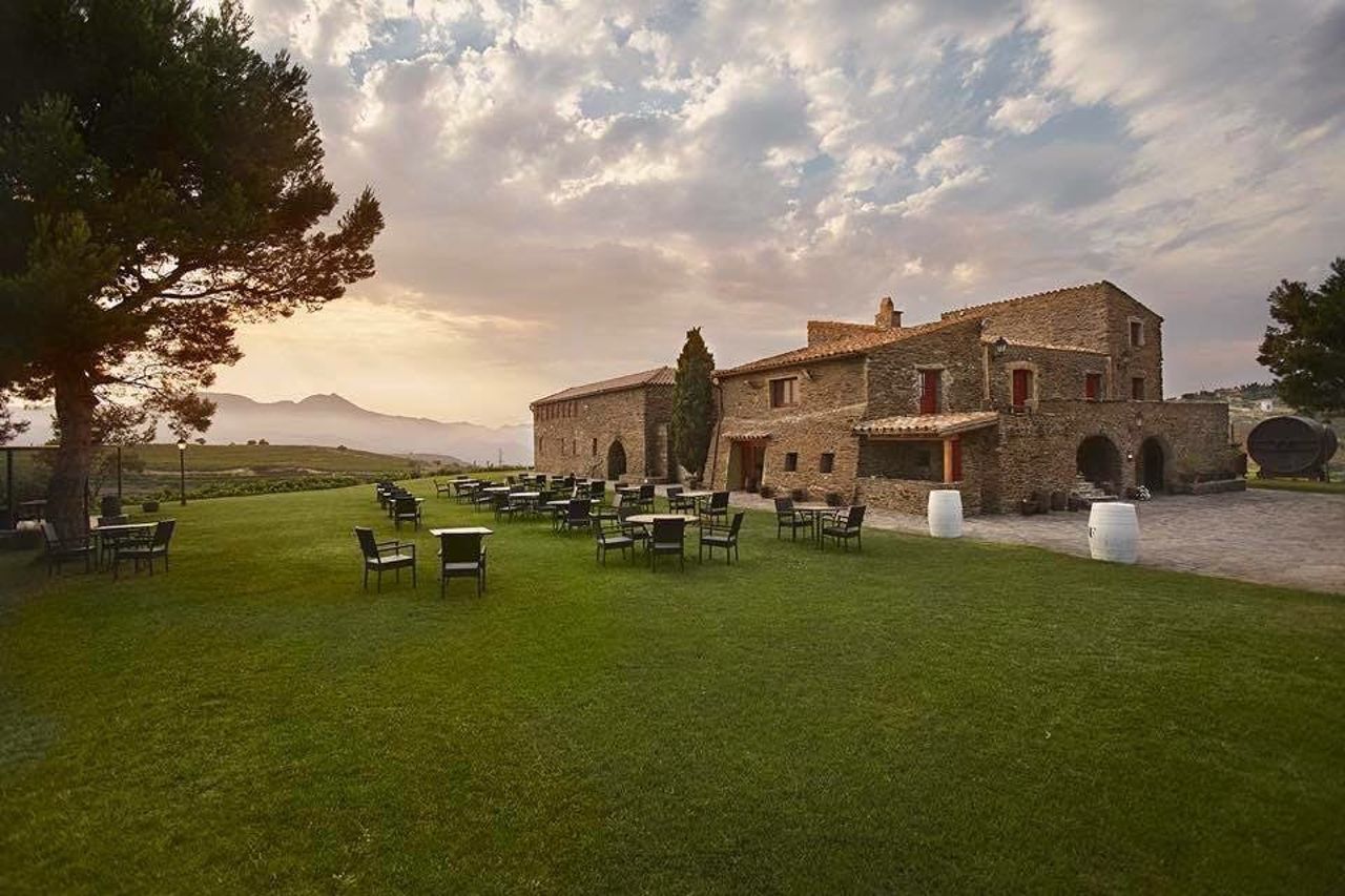 Martín Faixó | Sa Perafita: Tour Guidato nelle Cantine Vinicole — 4