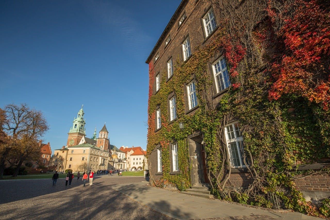 Santa Maria, Museo Rynek, Cattedrale di Wawel e Castello di Cracovia: Ingresso + Visita guidata — 6
