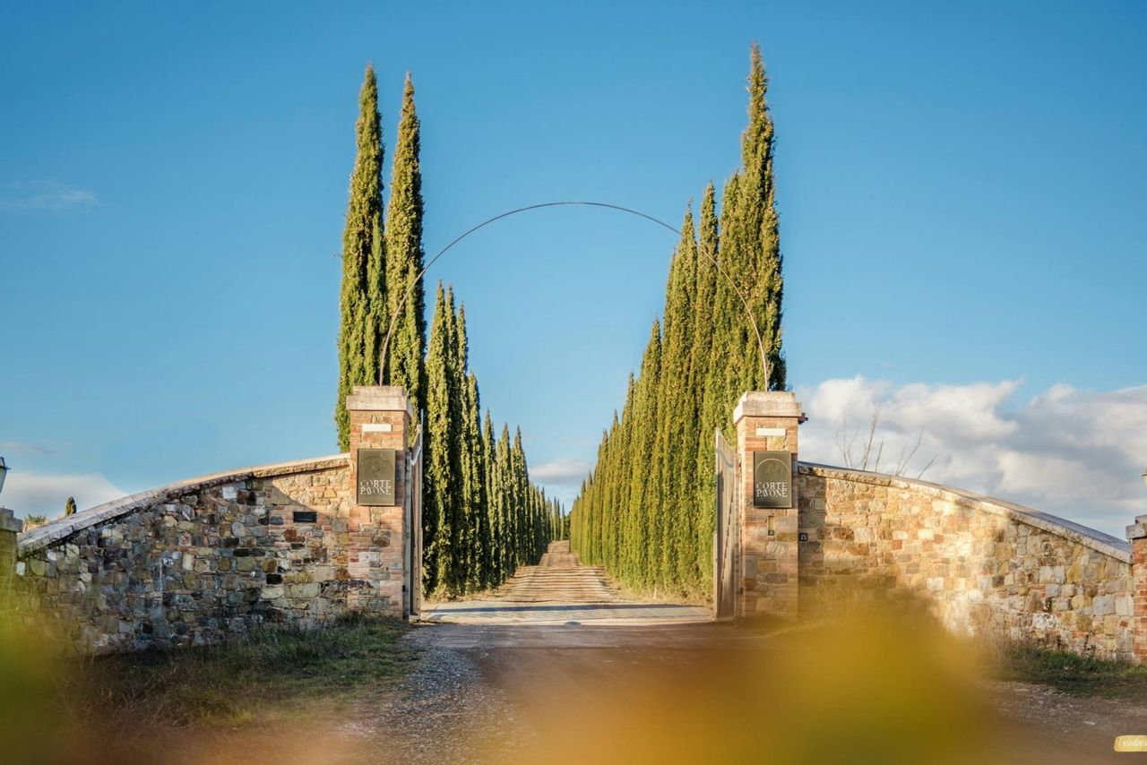 Azienda vinicola Corte Pavone: Degustazione di vini di Montalcino — 6