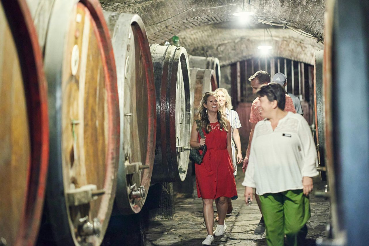 Toscana: Tour del Chianti + degustazione di vini in Villa Medici — 2