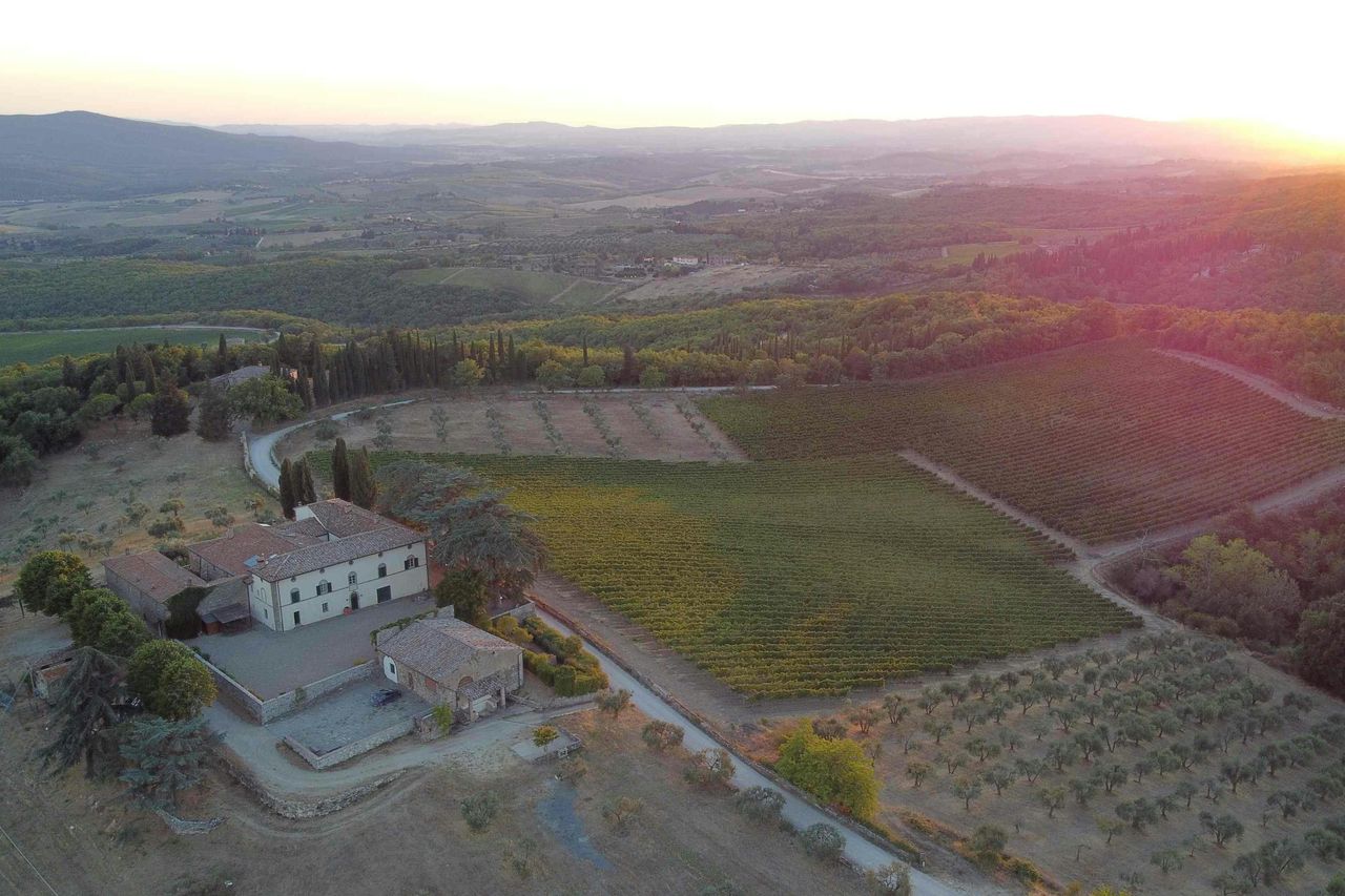 Siena: Degustazione di vino, olio e cibo Mocenni Premium presso un vigneto toscano — 3