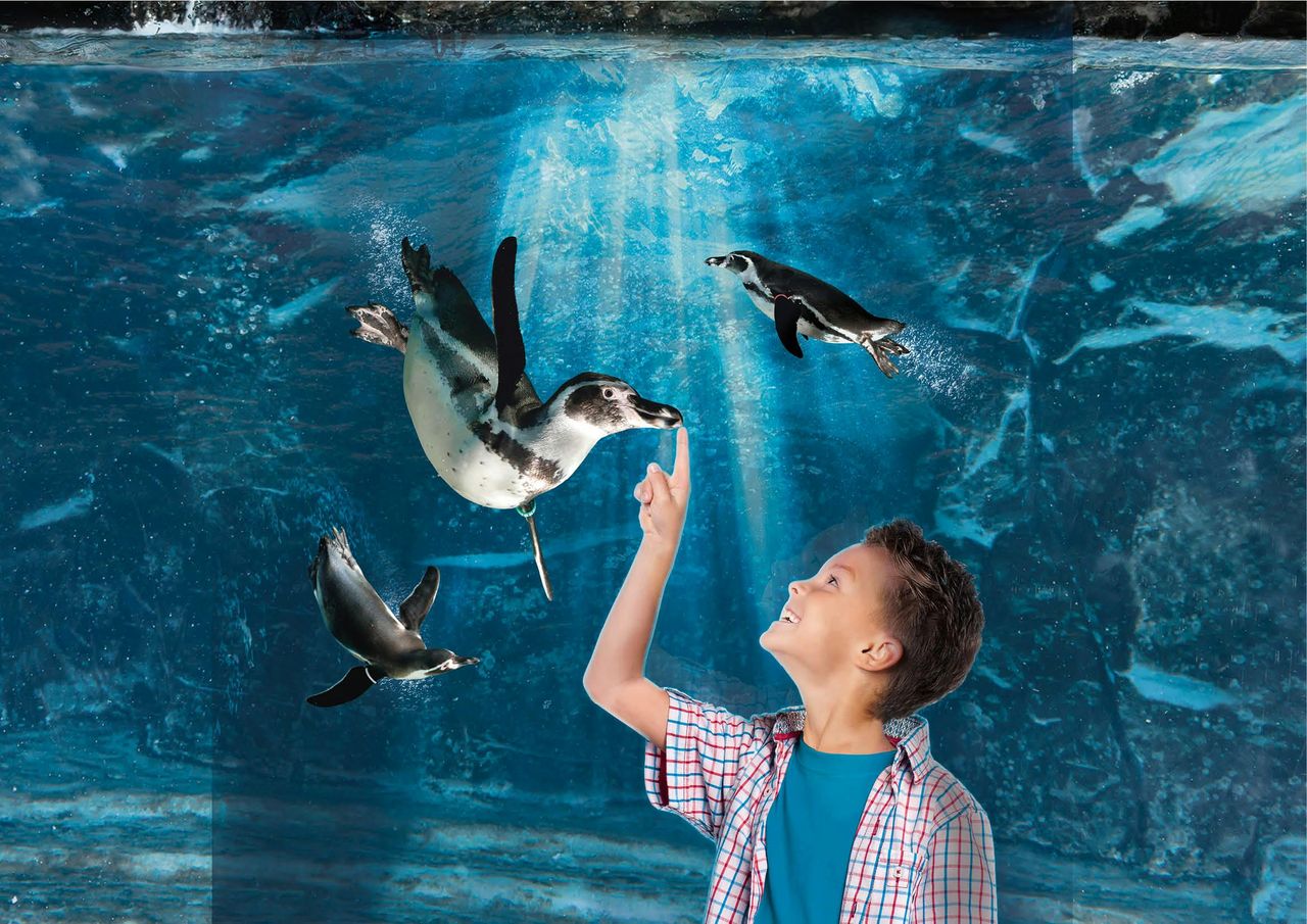 Acquario di Cattolica: Biglietto con accesso rapido