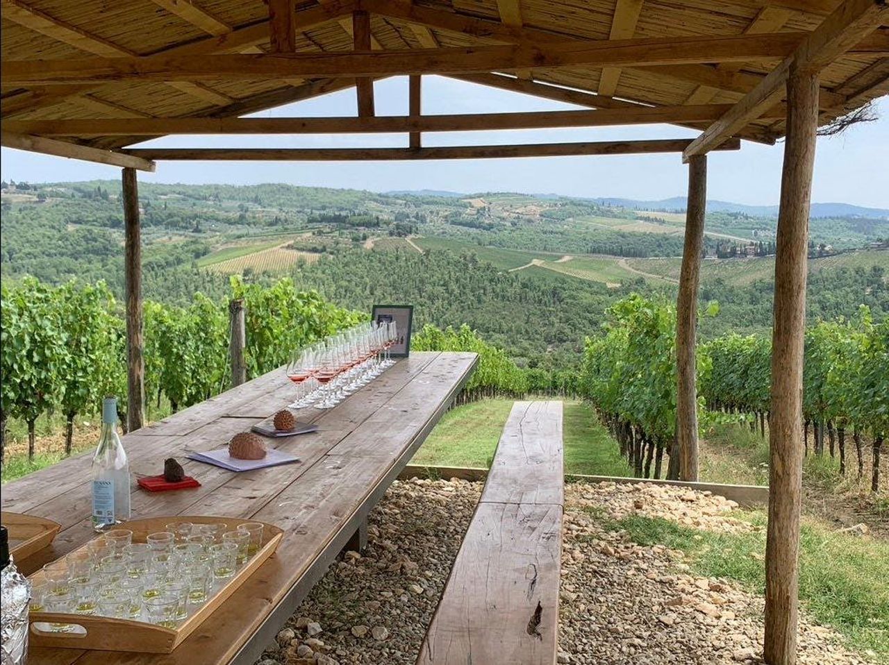 Regione del Chianti: Gita in giornata da Firenze + Tour dei vini in fuoristrada — 2