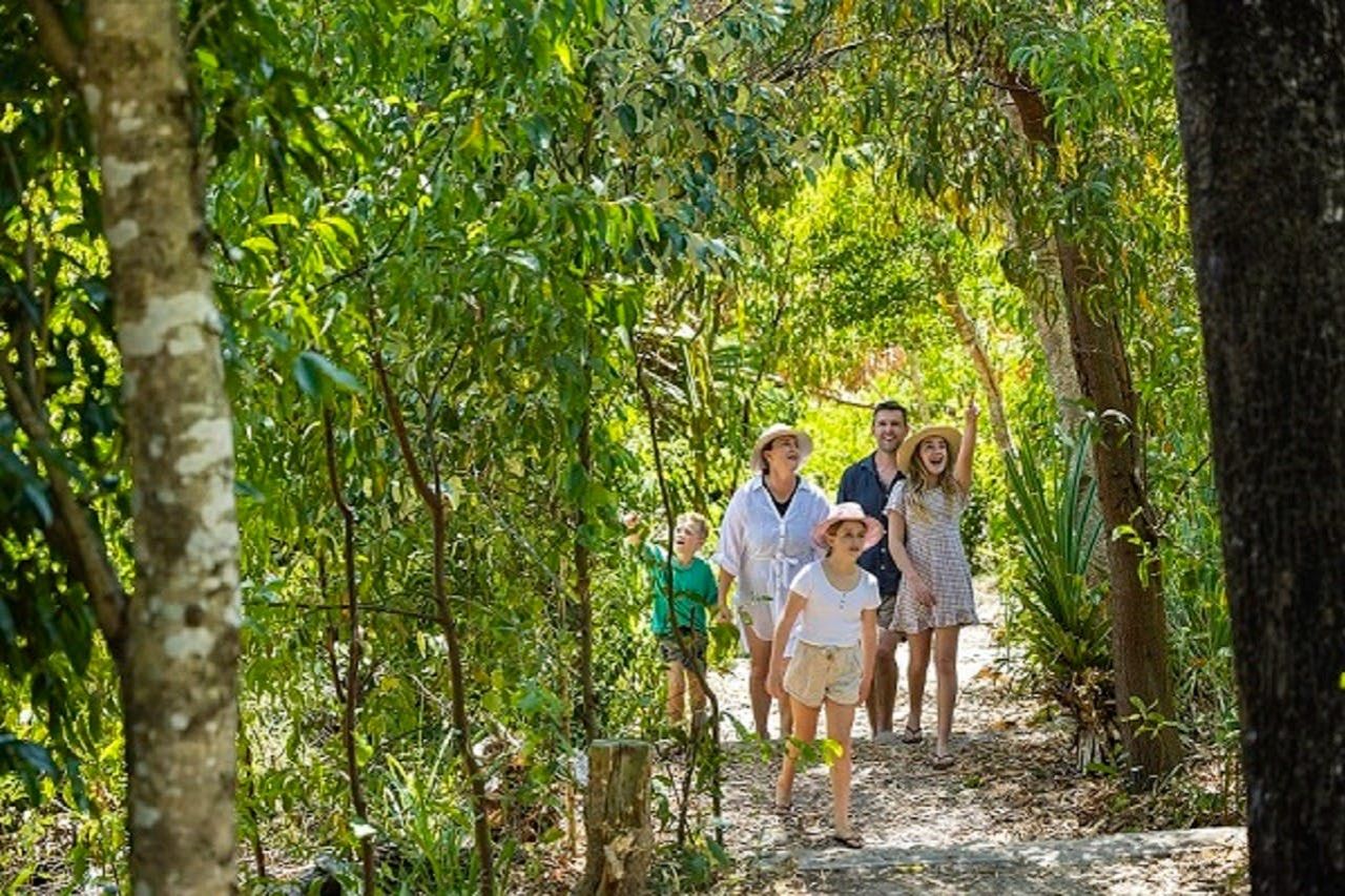 Spiaggia di Whitehaven: Tour di mezza giornata al mattino o al pomeriggio in barca da Airlie Beach — 6
