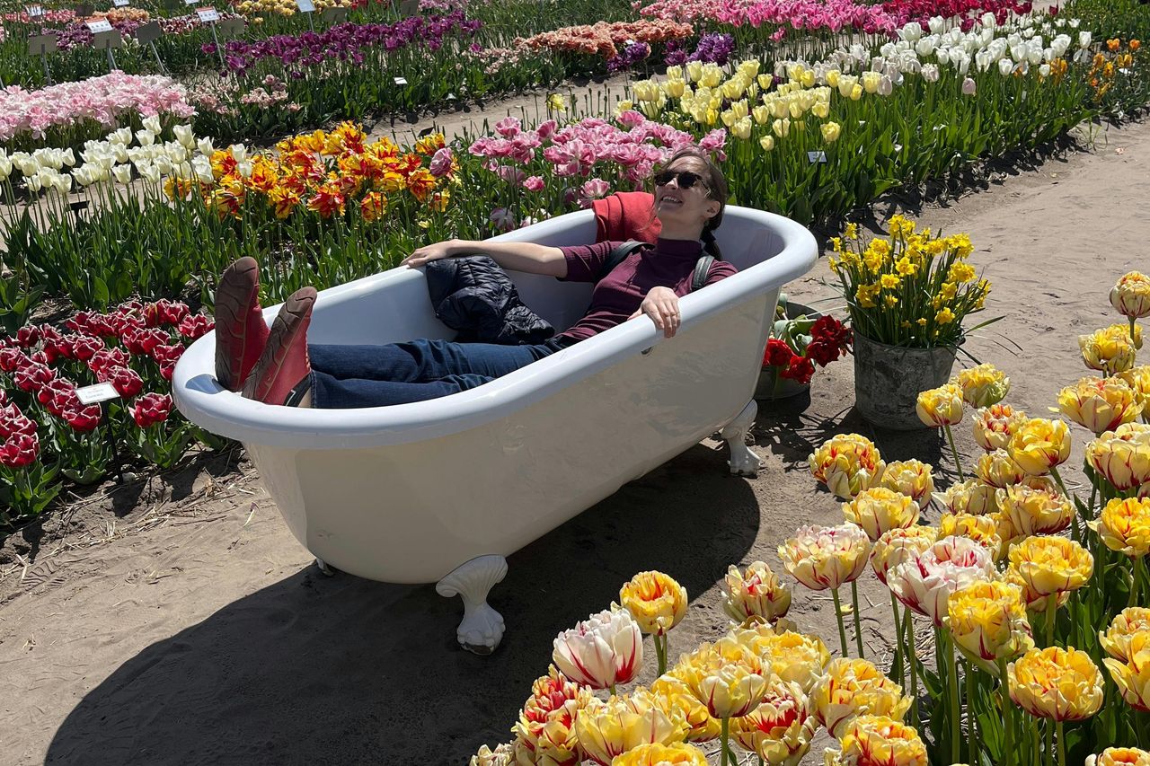 Amsterdam: Tour in bicicletta dei campi di tulipani in piccoli gruppi — 8