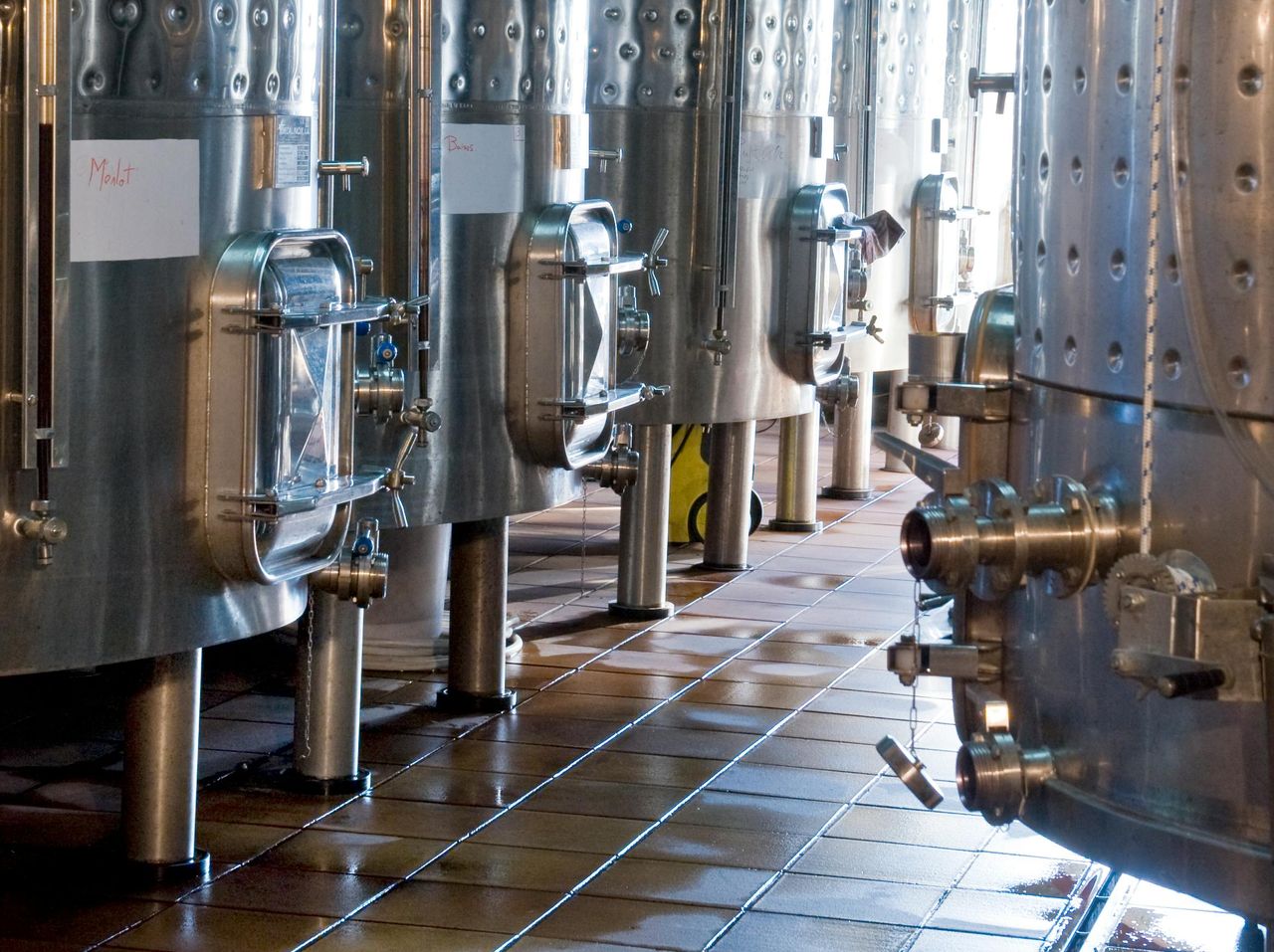 Martín Faixó | Sa Perafita: Tour Guidato nelle Cantine Vinicole — 5
