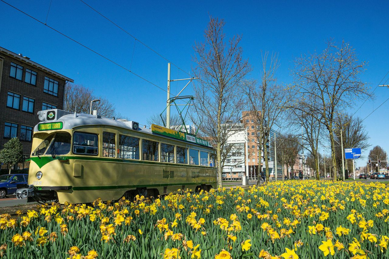 Tram turistico Hop-on Hop-off — 4
